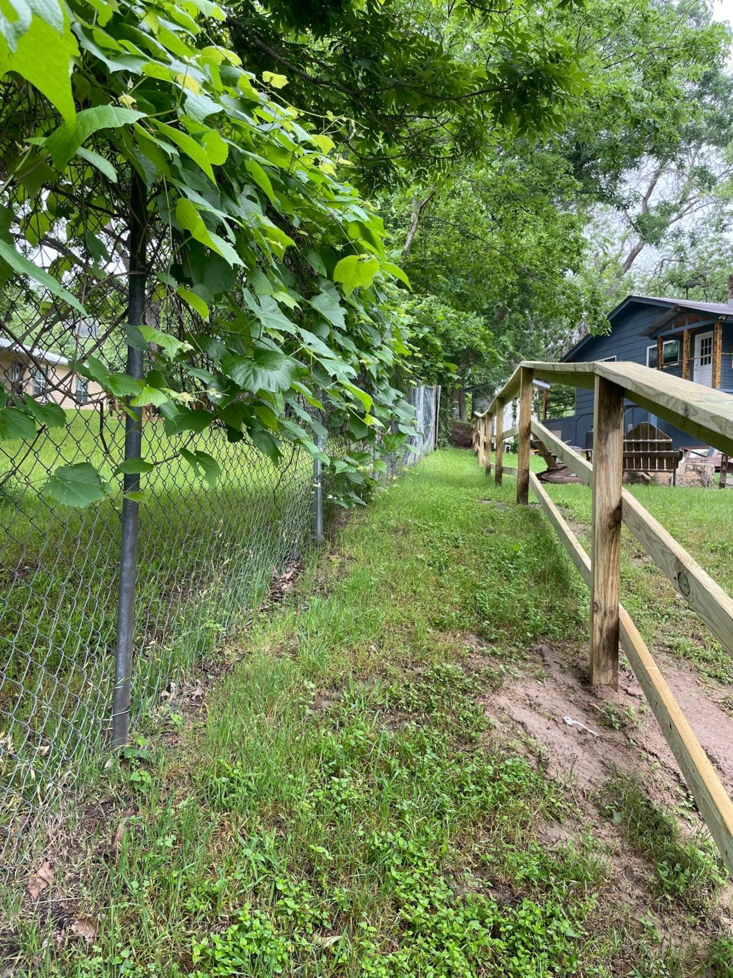 Pet Friendly Tiny House Rental With New Access To Guadalupe River Nbtx Ню Браунфелс Екстериор снимка